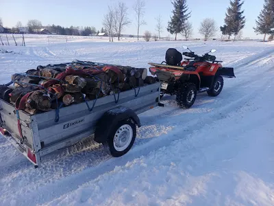 "iglaczek" Pielęgnacja Terenów Zieleni - Maciej Walicki